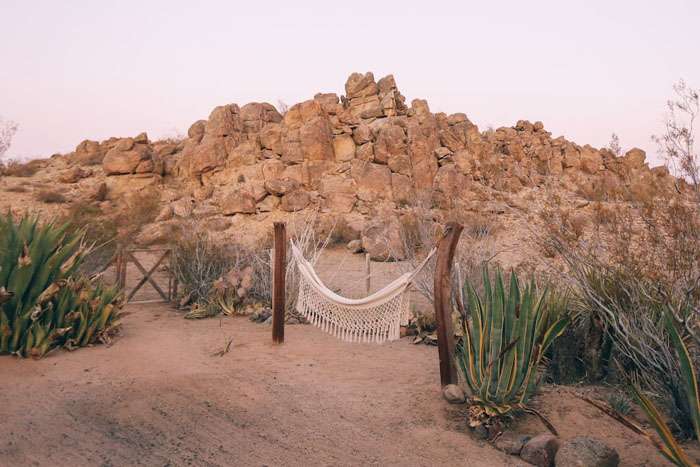 Hammock The Joshua Tree airbnb