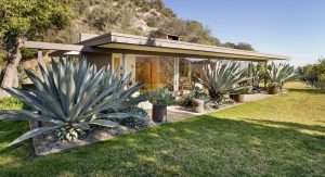 Flea’s Succulent Surrounded Mid-Century Home