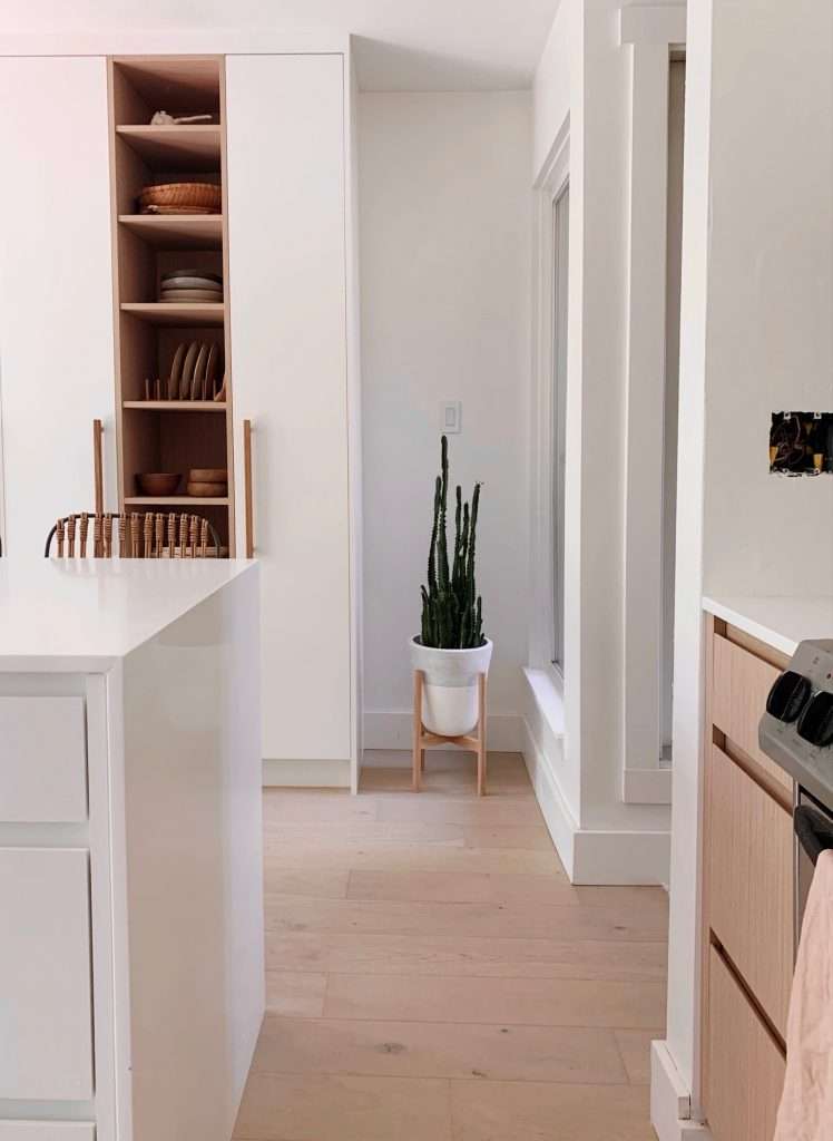 Pantry After Kitchen Reno