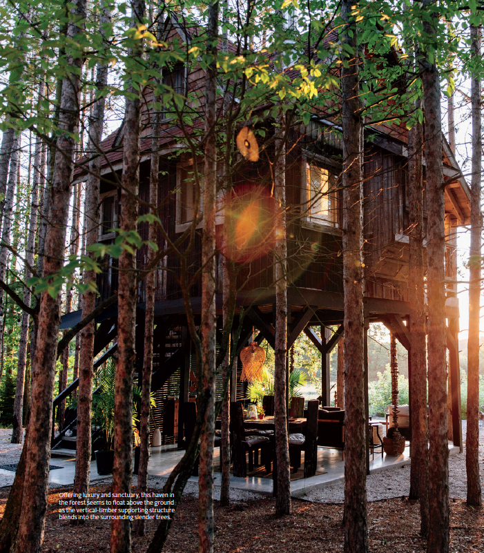 The Treehouse | Photography Lynne Knowlton