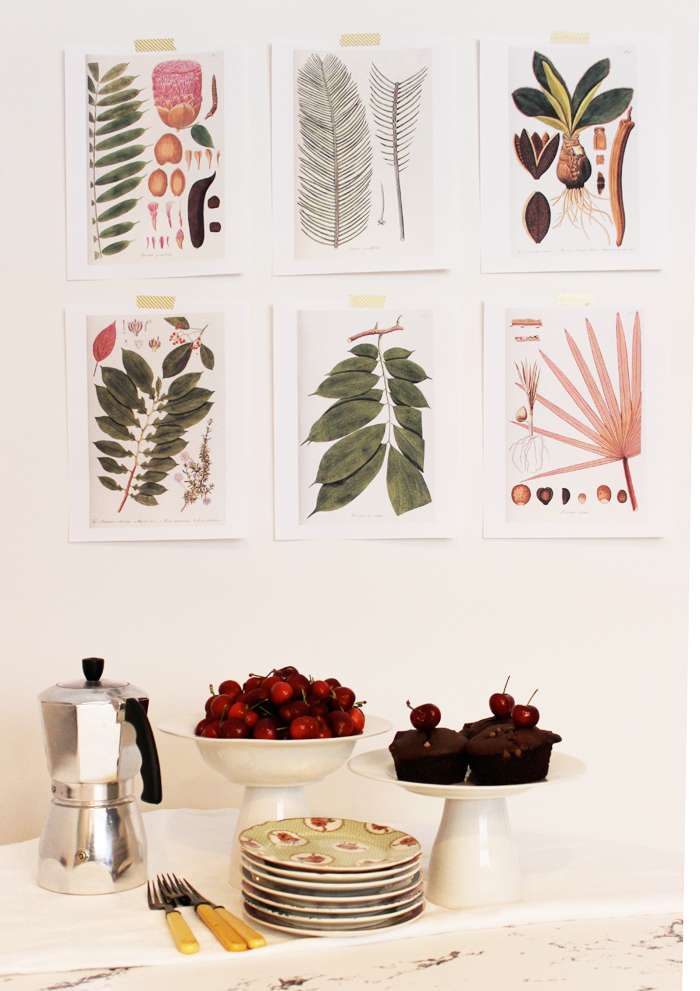 botanical printables display