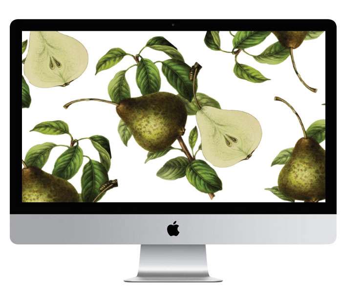 desktop pear wallpaper