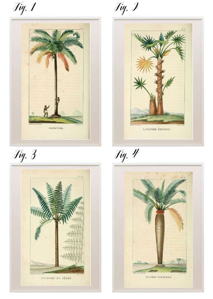 Printable Palm Trees Prints